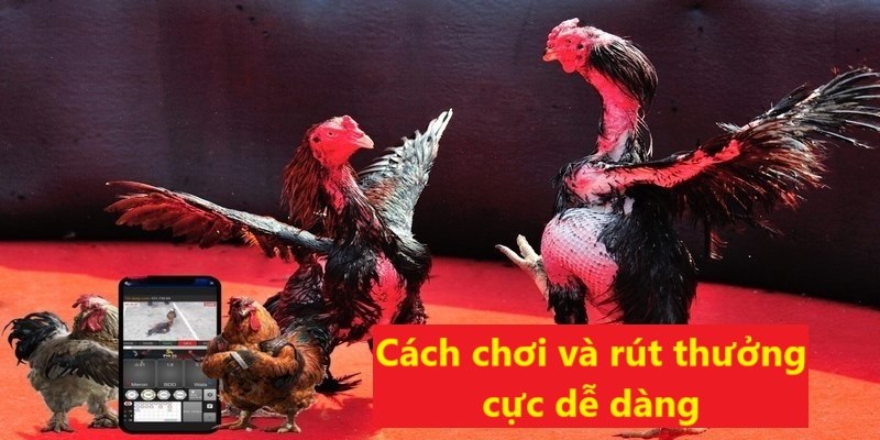 Cách chơi và rút thưởng rất đơn giản dễ dàng tại nhà cái